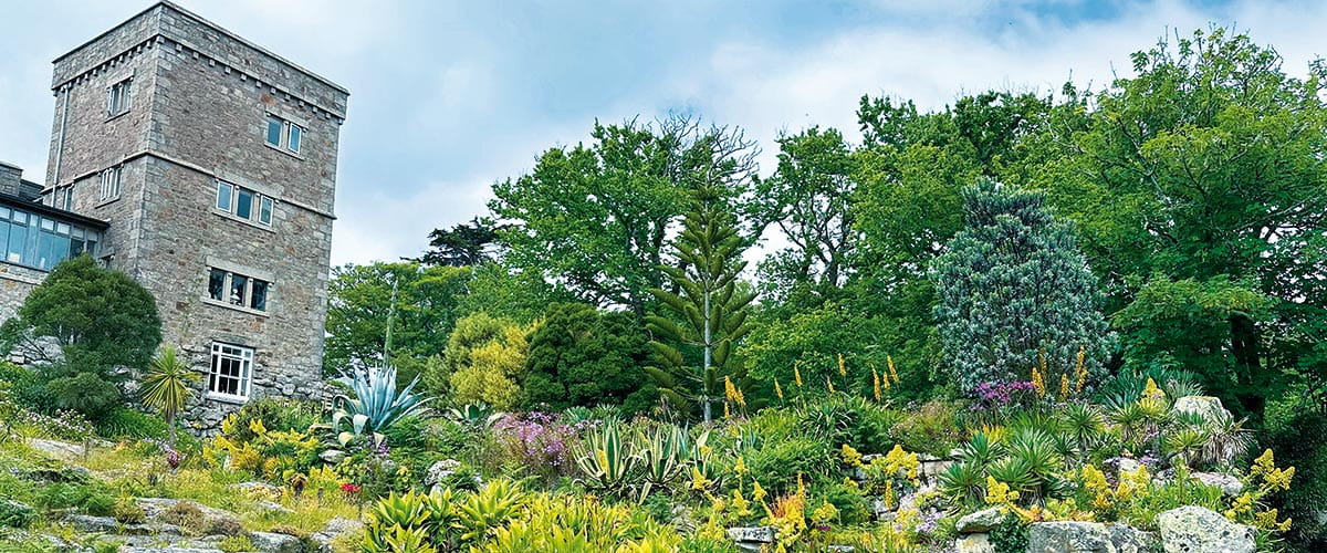 Tresco Abbey Gardens on the Isles of Scilly